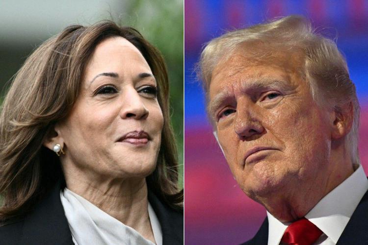 Storico Allan Lichtman prevede la vittoria di Kamala Harris alle elezioni USA