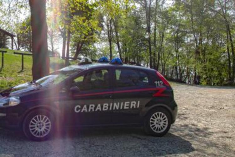 Varese, cadavere trovato in un bosco a Luino