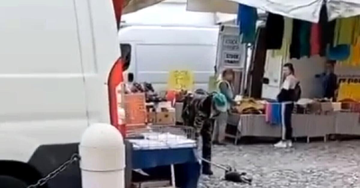 Uccisione di una nutria a bastonate al mercato di Orzinuovi: 72enne rinviato a giudizio