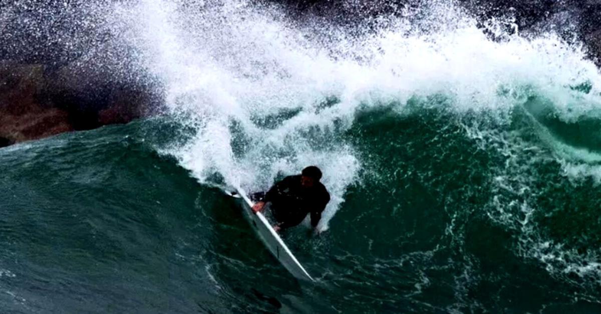 Surfista attaccato da squalo bianco in Australia: corsa contro il tempo per salvare la gamba