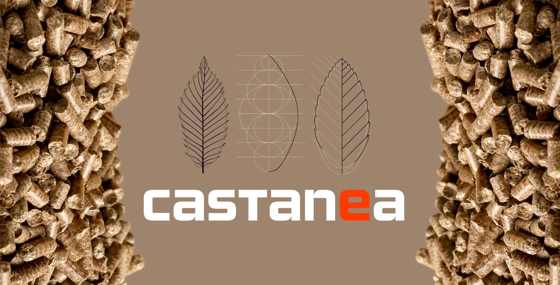 Innovazione Digitale per la tradizione sostenibile: Castanea Pellet lancia il nuovo sito web per promuovere il Pellet di Castagno