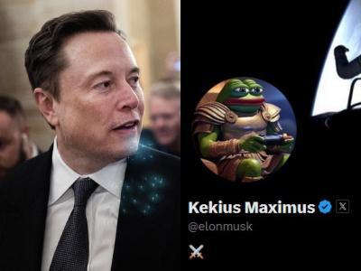 Elon Musk cambia nome su X e adotta il meme Pepe the Frog come immagine profilo