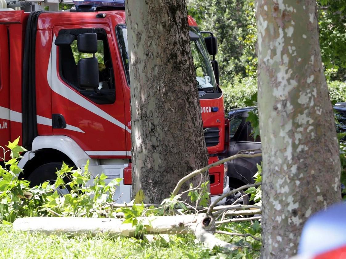 Roma, tragedia a Colli Aniene: albero crolla, donna muore schiacciata