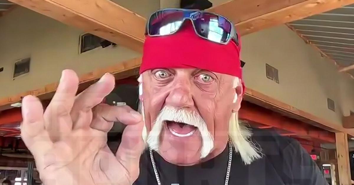 Hulk Hogan, Mike Tyson è Pronto per Sfidare Jake Paul : il combattimento del secolo