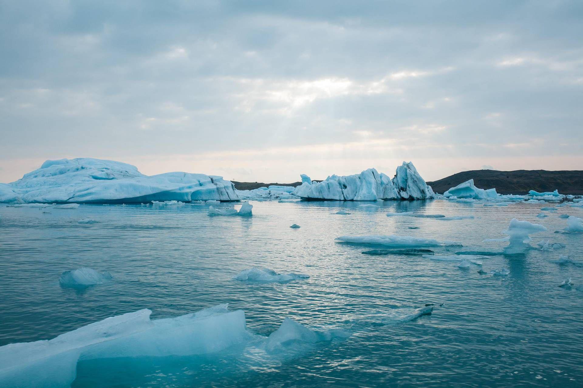 Gennaio 2025: il mese più caldo mai registrato