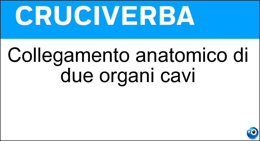 collegamento anatomico