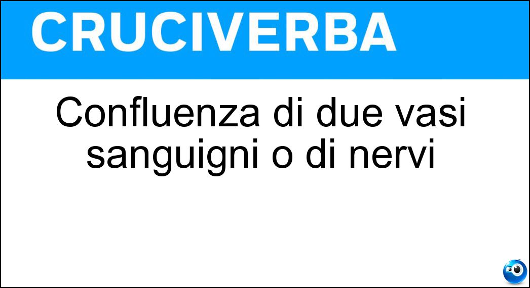 confluenza vasi