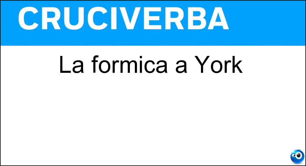 formica york