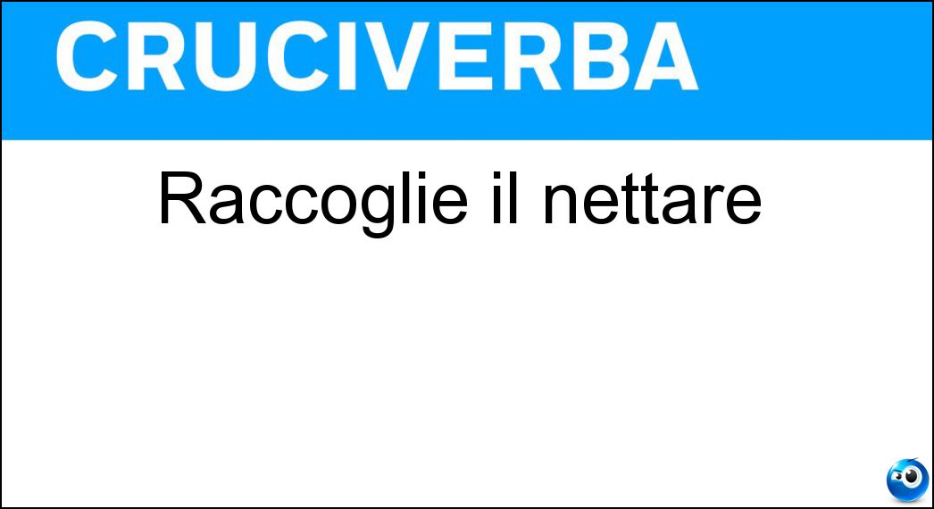 raccoglie nettare