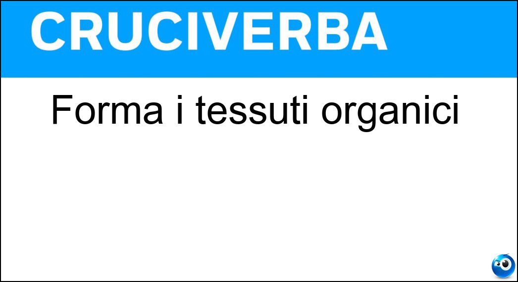 forma tessuti