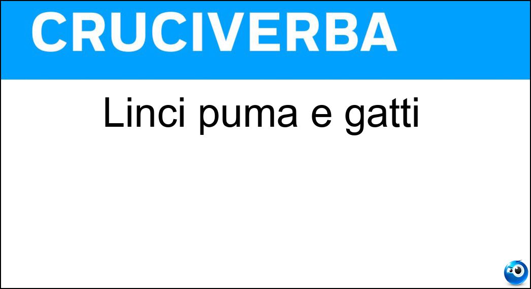 linci puma