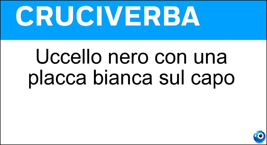 uccello nero