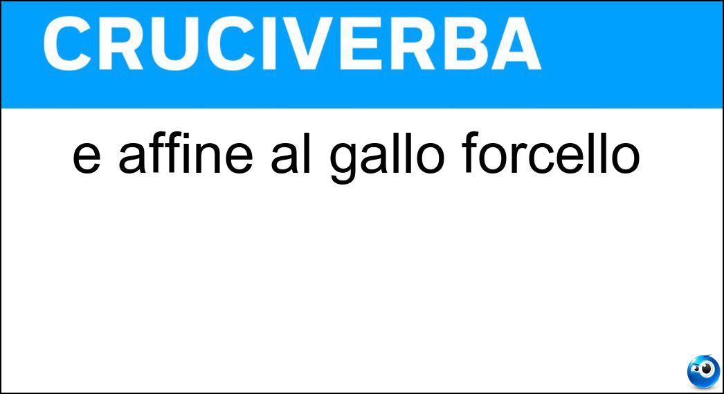 È affine al gallo forcello