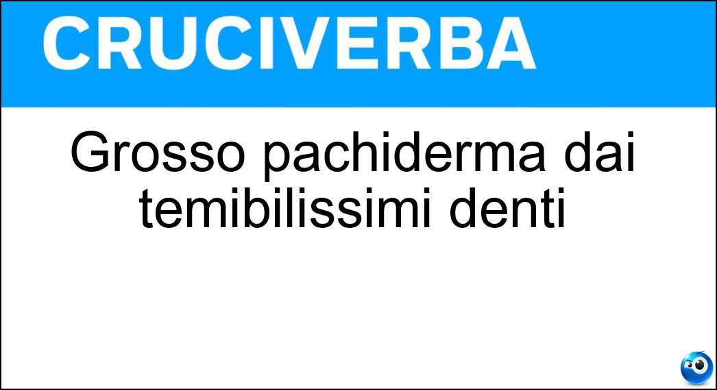 grosso pachiderma