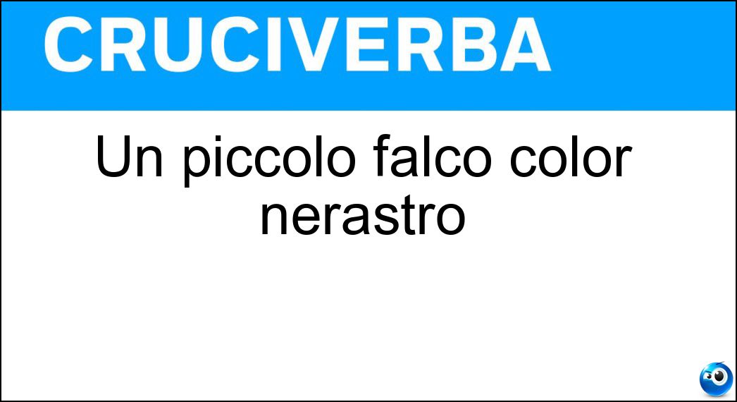 piccolo falco