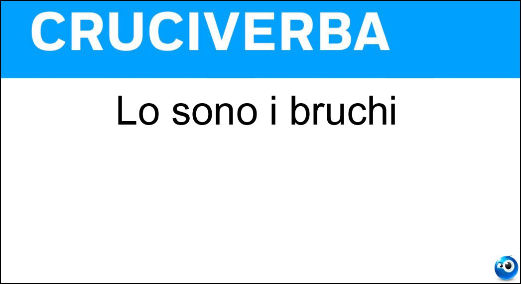 sono bruchi