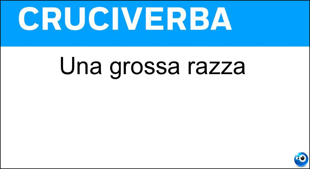 grossa razza