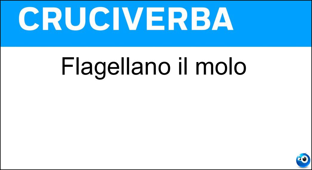 flagellano molo