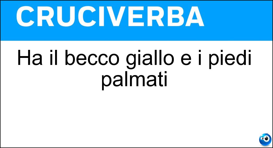 becco giallo