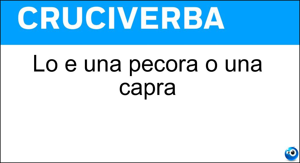 pecora capra