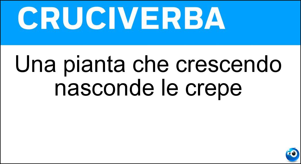 pianta crescendo