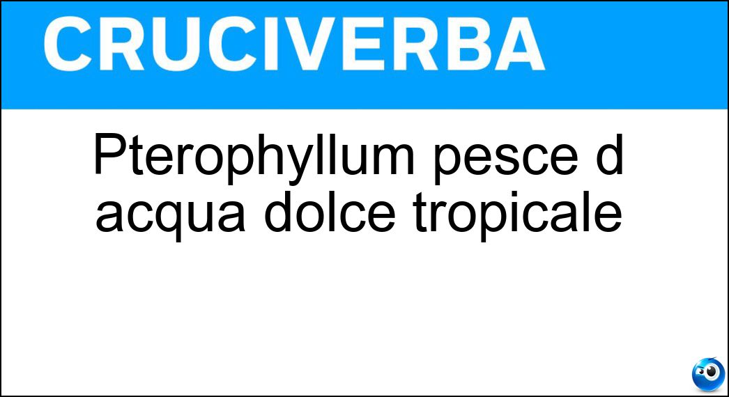 pterophyllum pesce