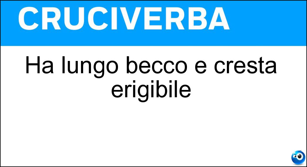 lungo becco